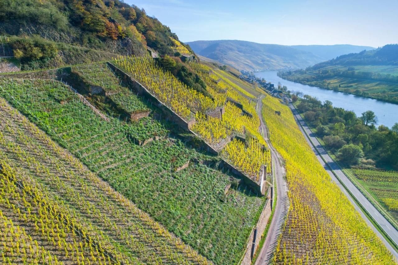 Das Haus In Spay An Der Mosel Mit Sauna Zell an der Mosel Exterior foto